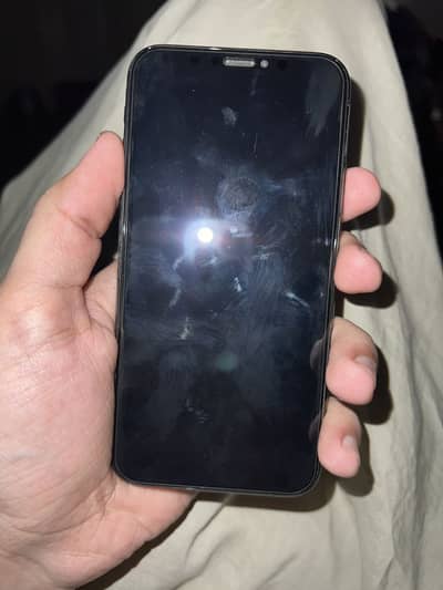 Apple iPhone X
