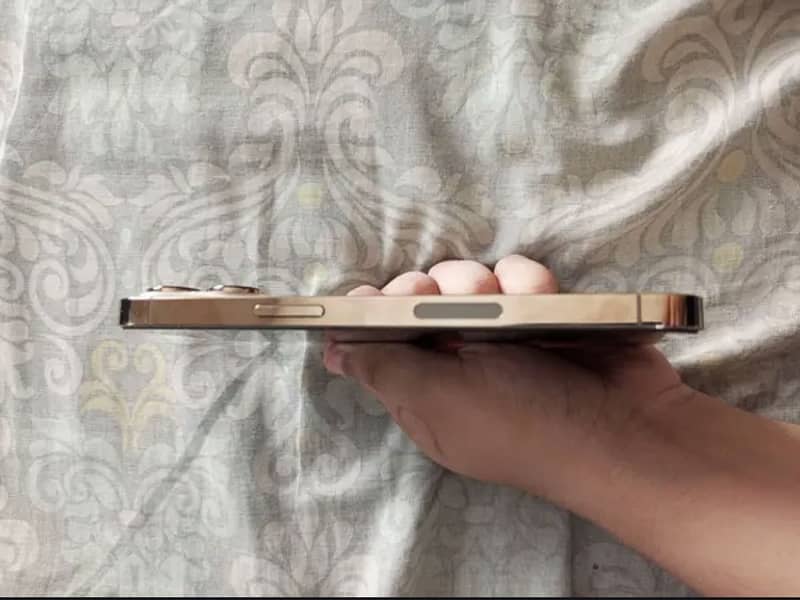 Apple iPhone 13 Pro 1