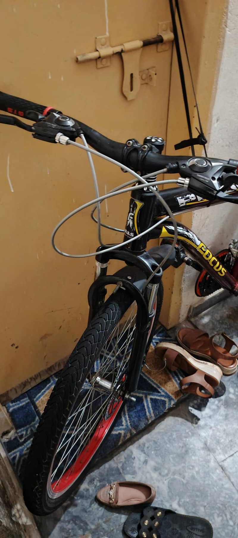 Bicycles 6
