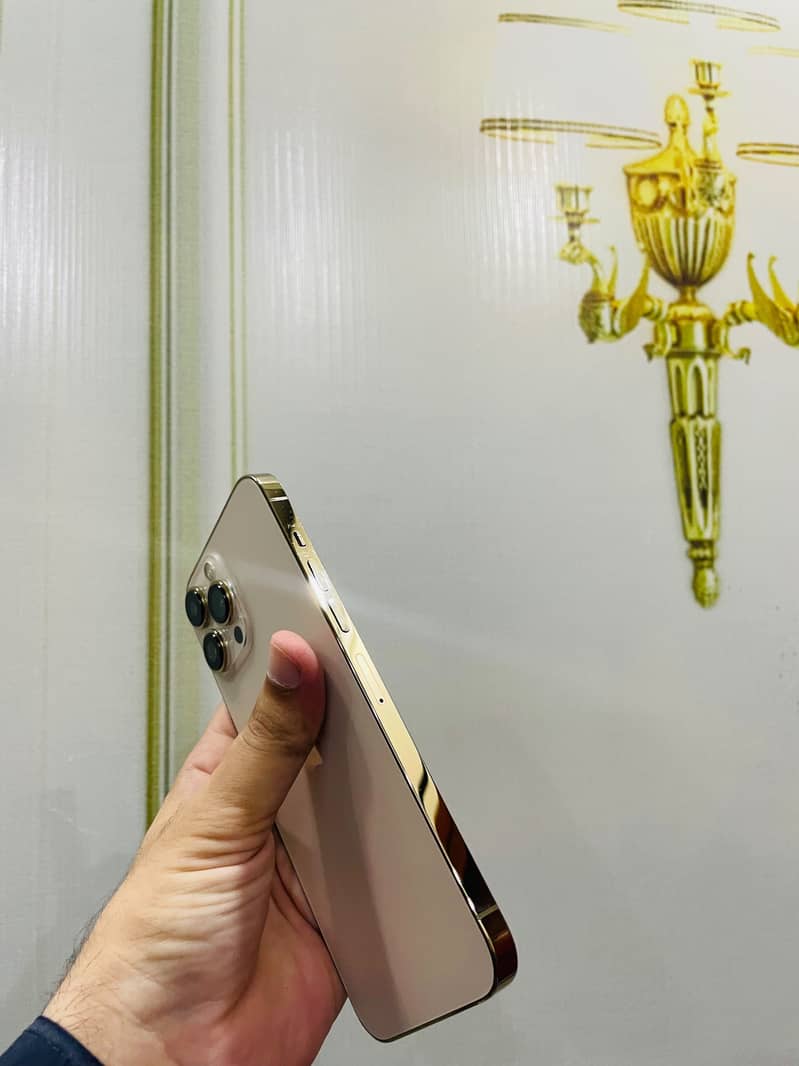 Apple iPhone 13 Pro Max 2