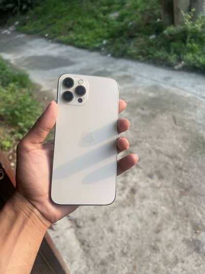 Apple iPhone 12 Pro Max