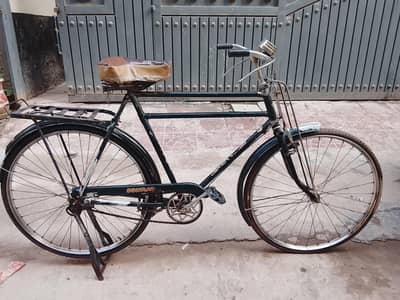 Sohrab original 24 inch