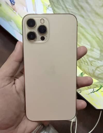 Apple iPhone 12 Pro Max