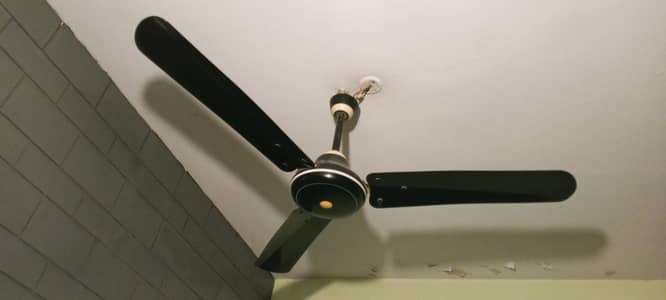 sonex fan copper wiring