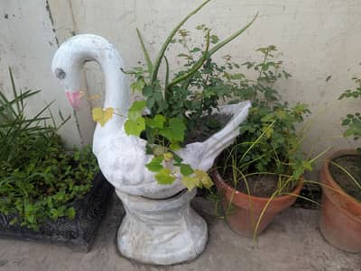 Decorative Swan Planter - Garden/Outdoor Decor - Urgent Sale