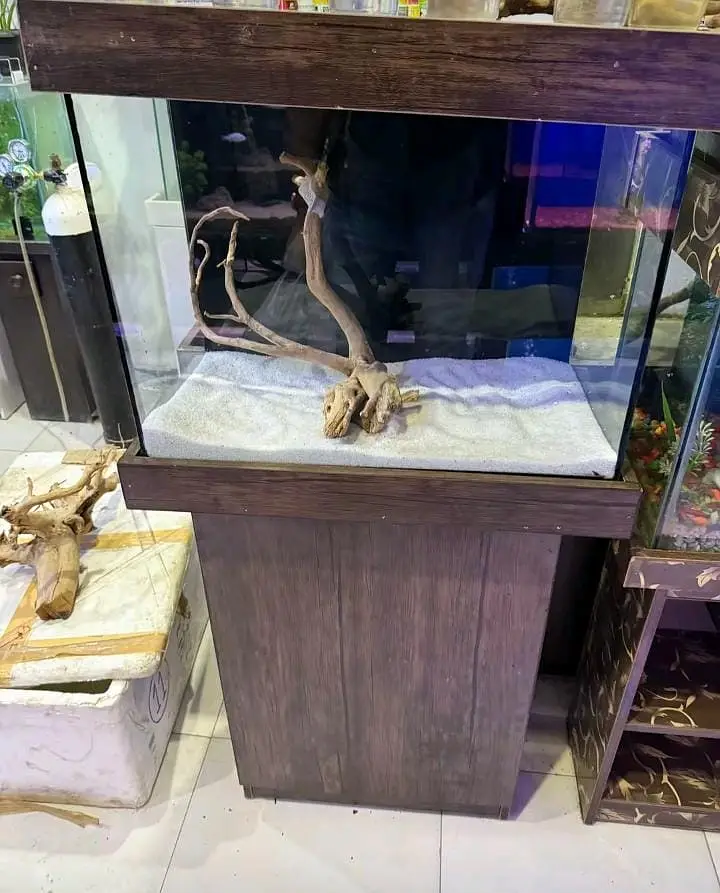 All fish Munseeb price 03268301979 — photo 7