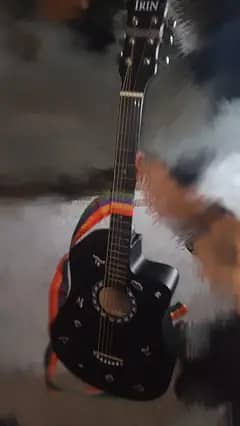 GUITAR FIR SEAL URGENT