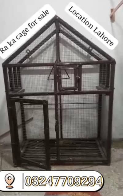 raw perits ka cage hay    03247709294 watsab