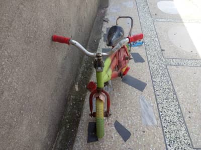 mini cycle for sae