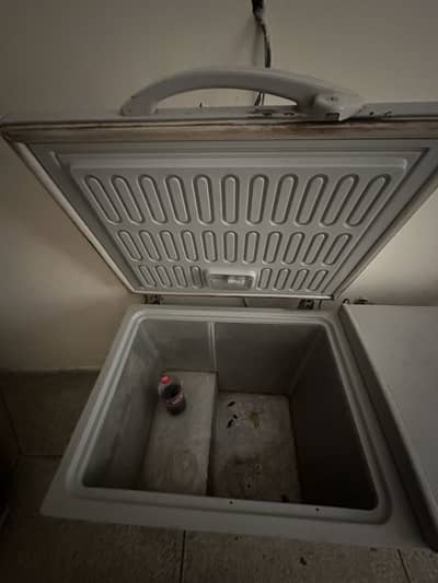 Waves Full size double door freezer