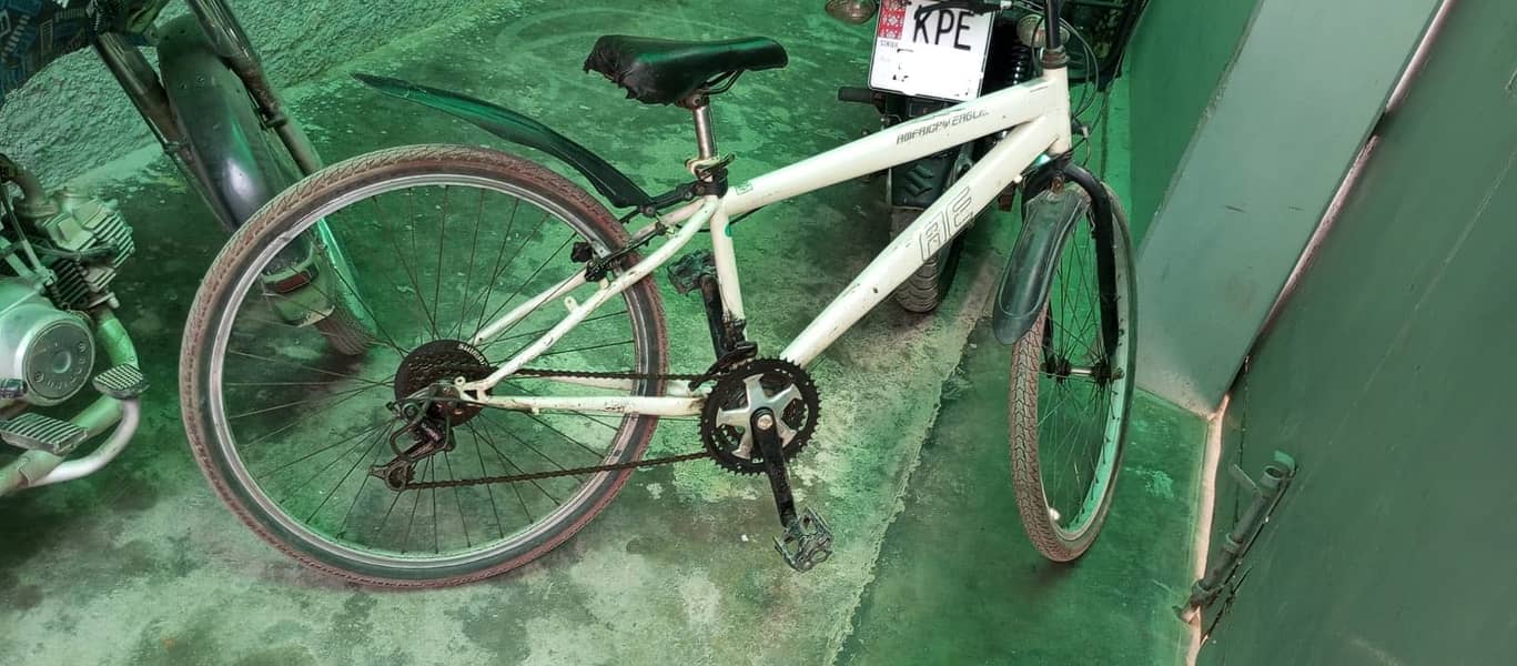 American Eagle cycle 0