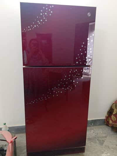 PEL refrigerator