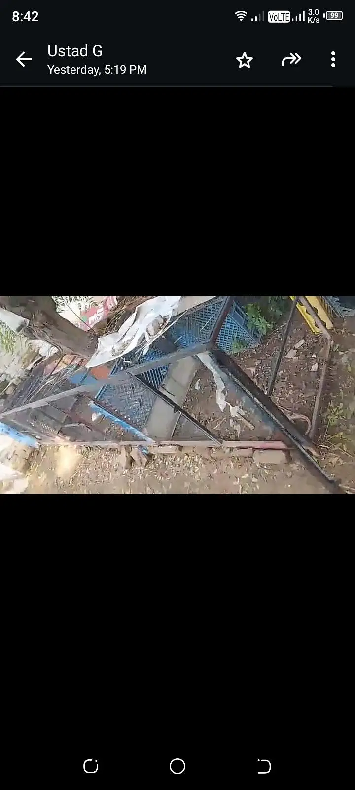 aseel han cage — photo 3