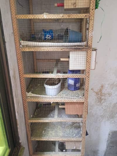 5 porshan cage