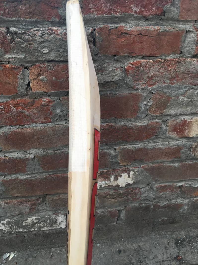 cricket bat 2
