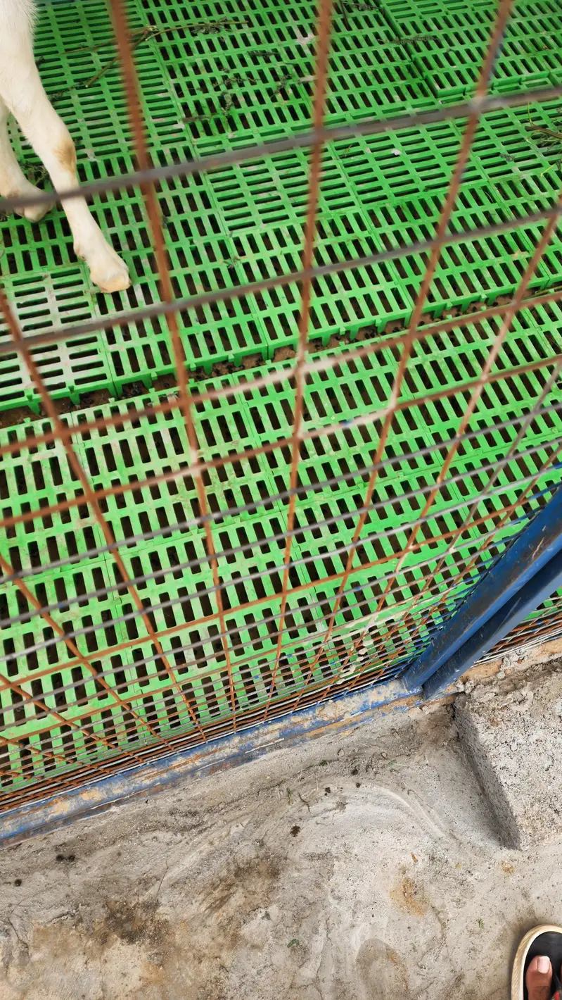 plastic slated flooring for goats