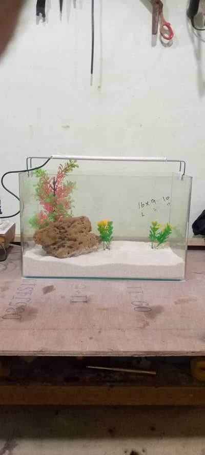 imported aquarium