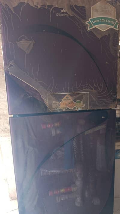 Electrolux Energy Efficient Refrigerator (R600a-compressor)