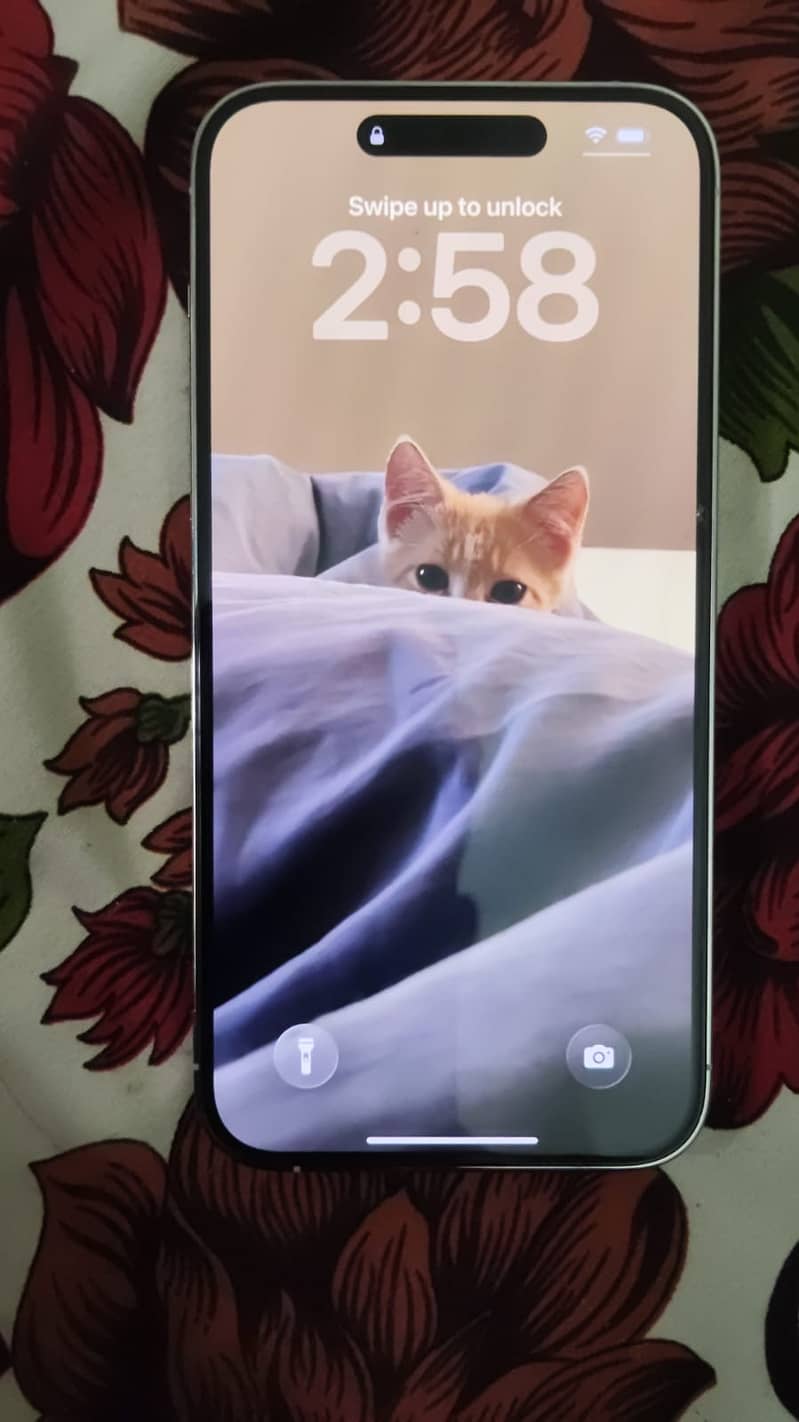 Apple iPhone 14 Pro Max 1