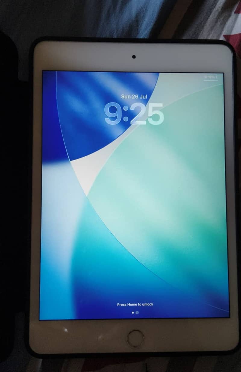 I pad mini 5 1