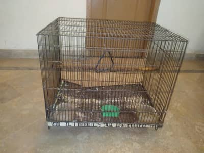 Iron cage