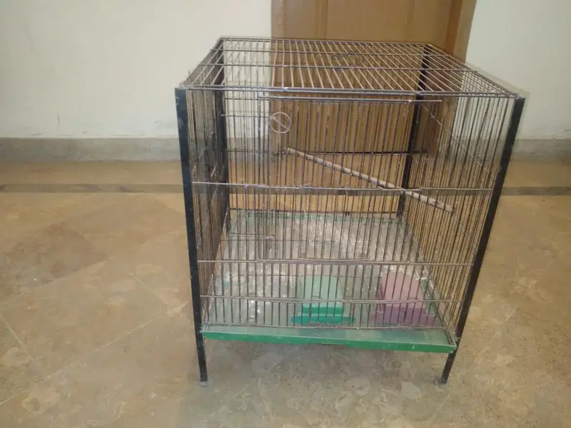 Iron cage — photo 2