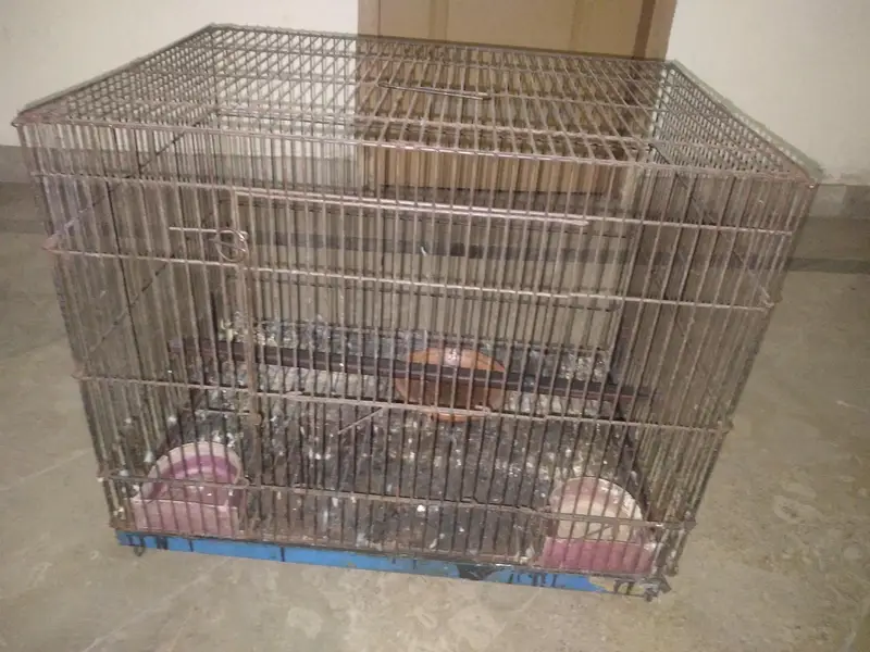 Iron cage — photo 3