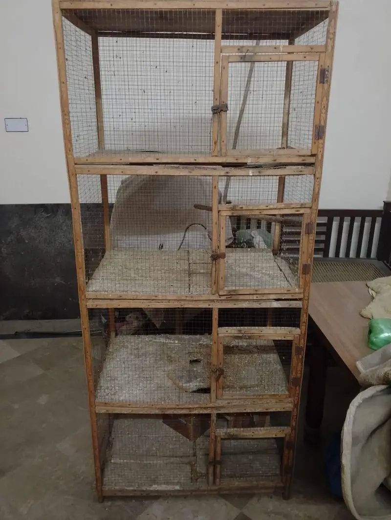 Iron cage — photo 4
