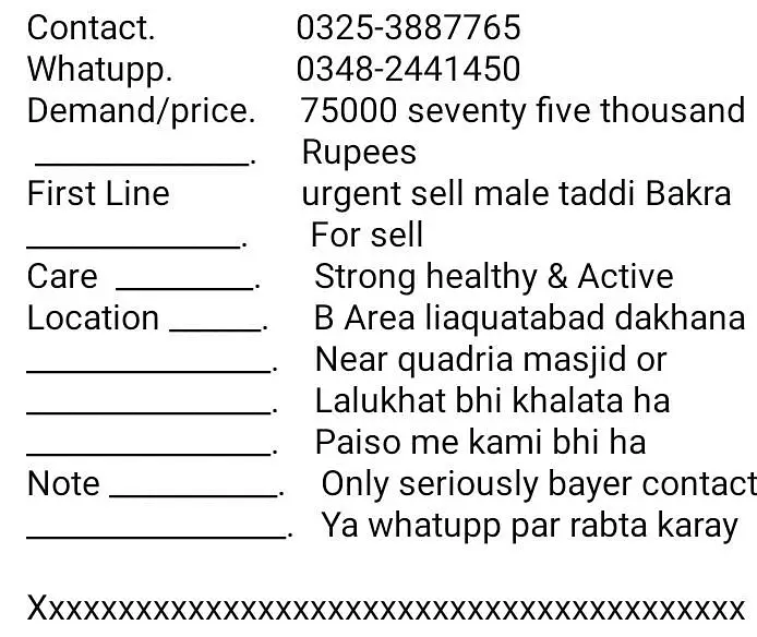 urgent sell taddi male Bakra for sale