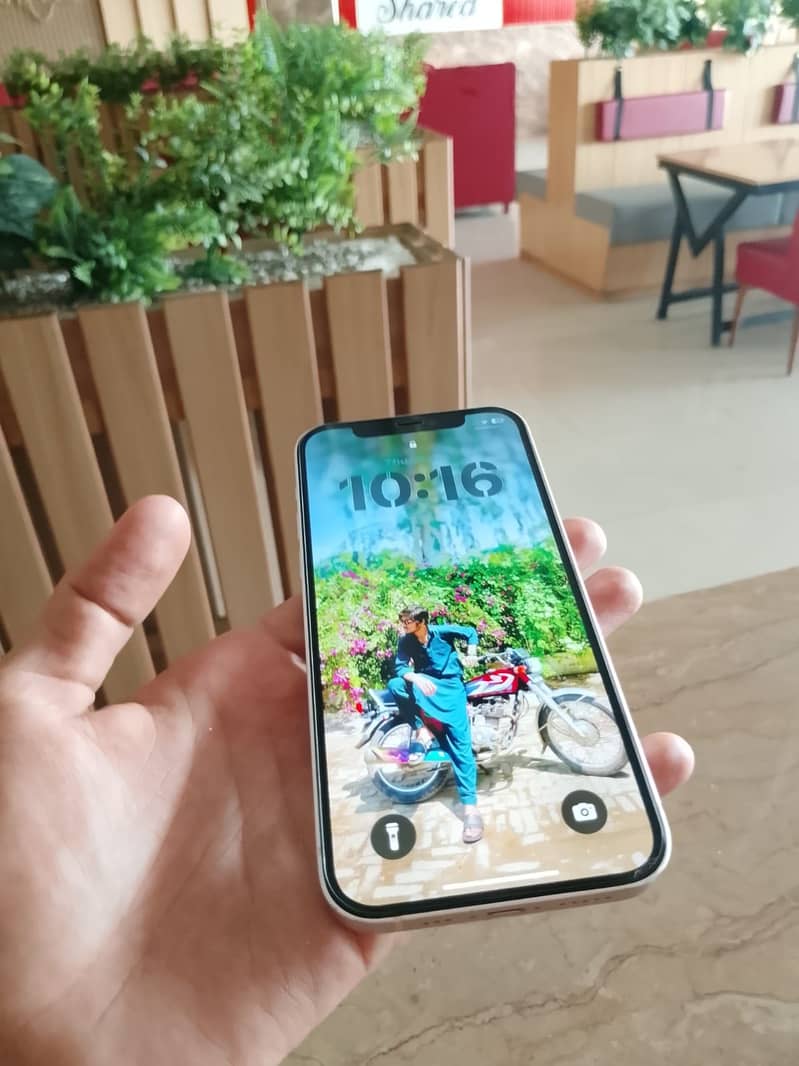 Apple iPhone 12 0