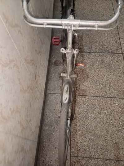 cycle baba cycle eagle