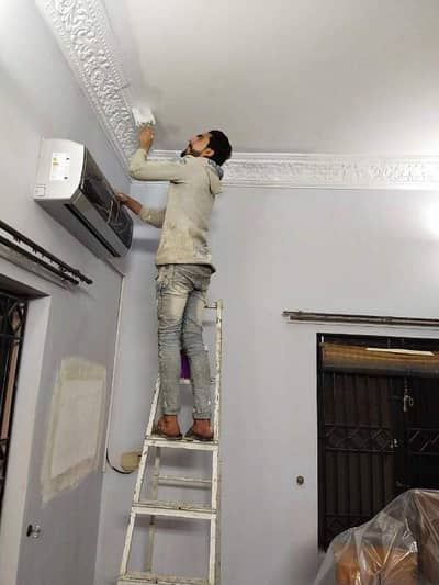 Professional painter