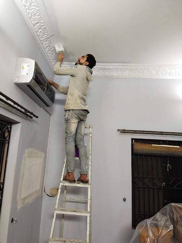 Professional painter 0