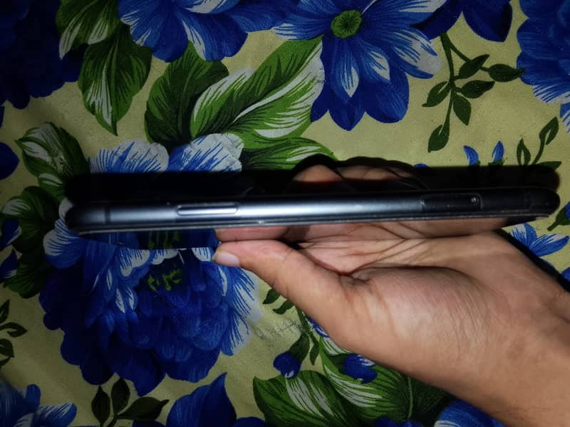 Apple iPhone 11 2