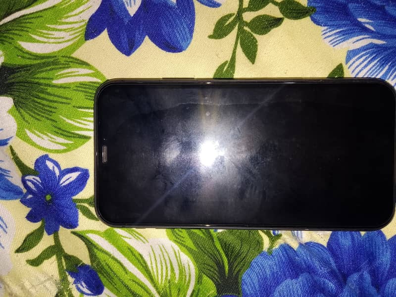 Apple iPhone 11 4