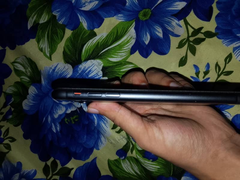 Apple iPhone 11 5
