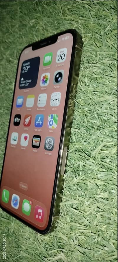 Apple iPhone 12 Pro Max
