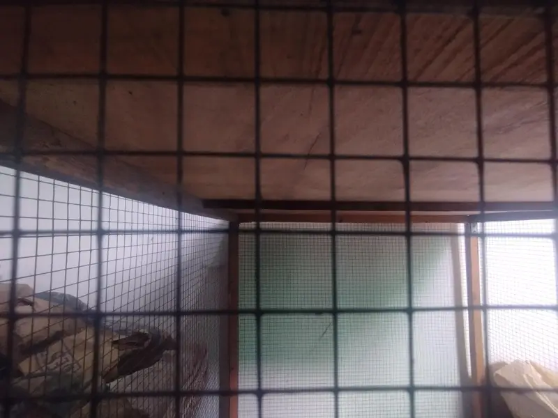 New wooden cage with steel mesh 3×3 — photo 3
