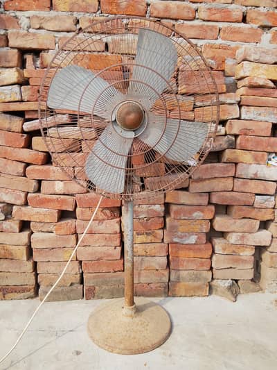 Farshe Fan