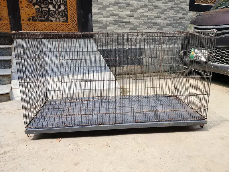 Parrot Cage | Hen Cage | Aseel Cage | Flying Cage — photo 2