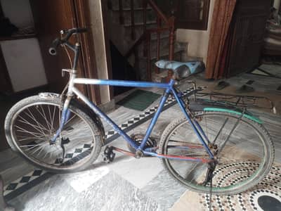 phoenix bicycle