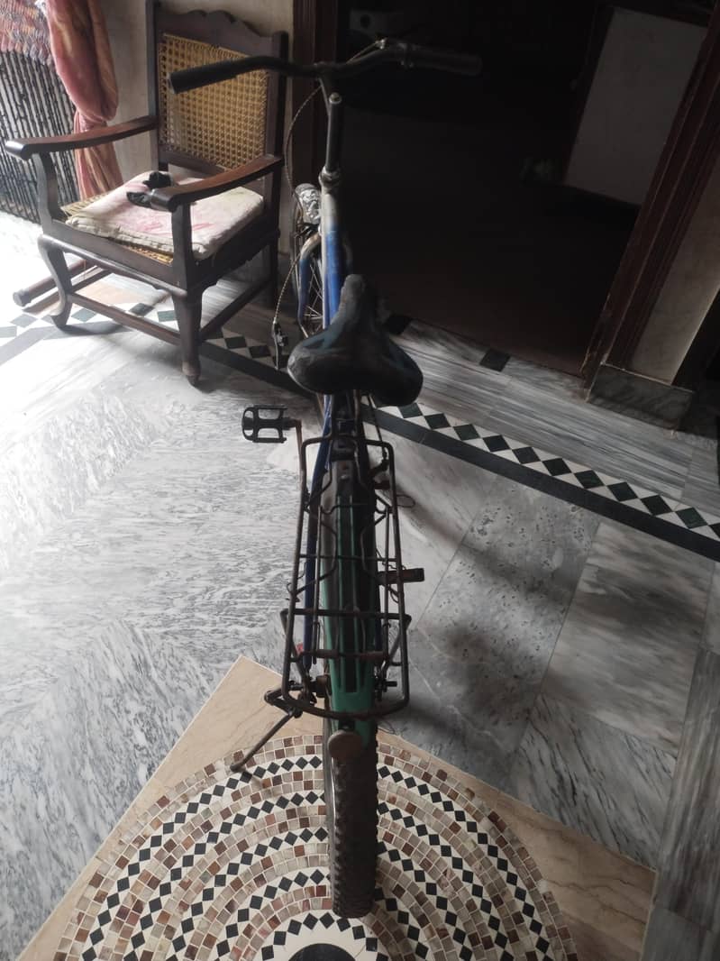 phoenix bicycle 1