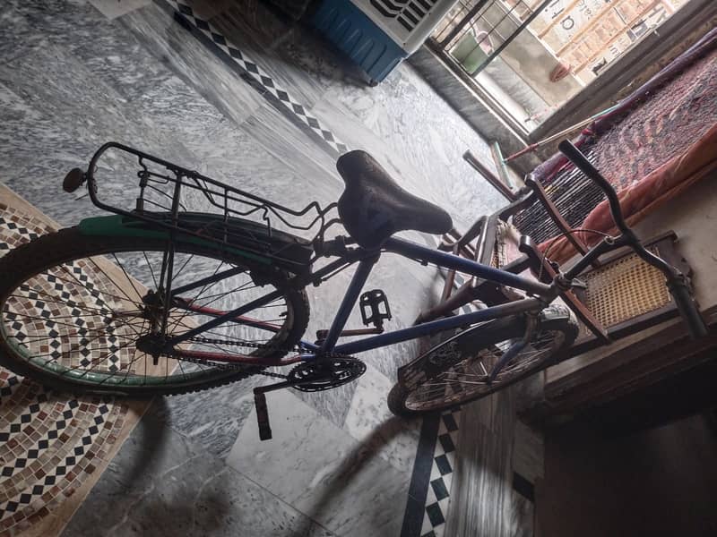 phoenix bicycle 2