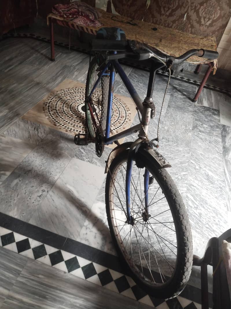 phoenix bicycle 3