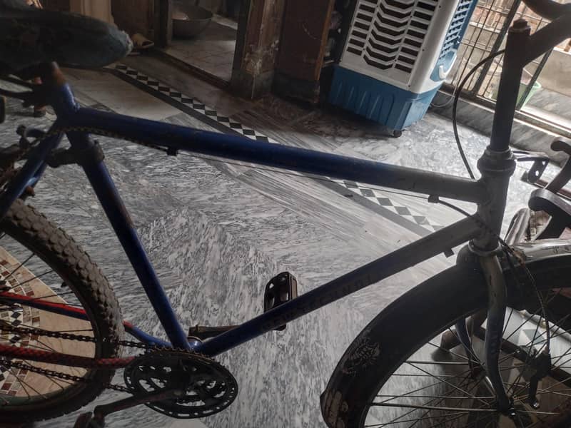 phoenix bicycle 4