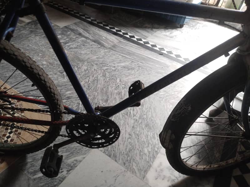 phoenix bicycle 5