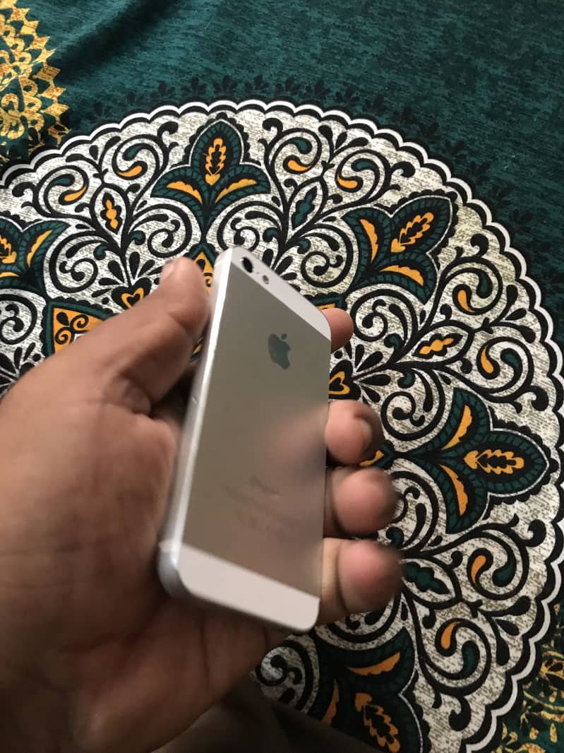 iPhone 5 5