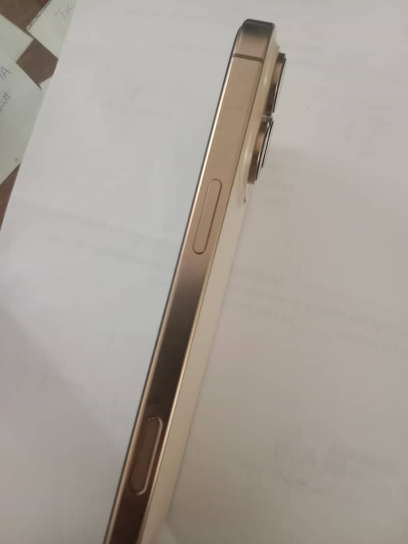 Apple iPhone 16 Pro Max 2