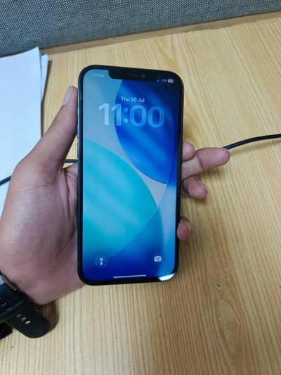 Apple iPhone 12 Pro Max
