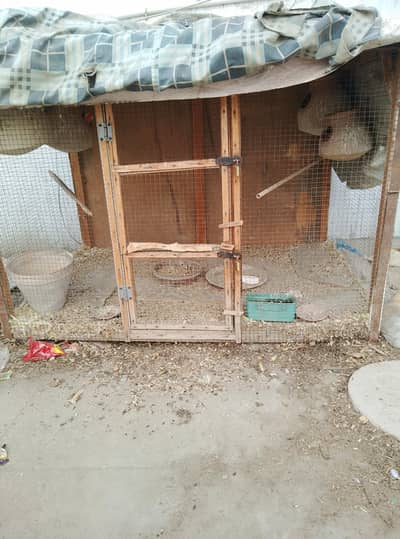 wood cage